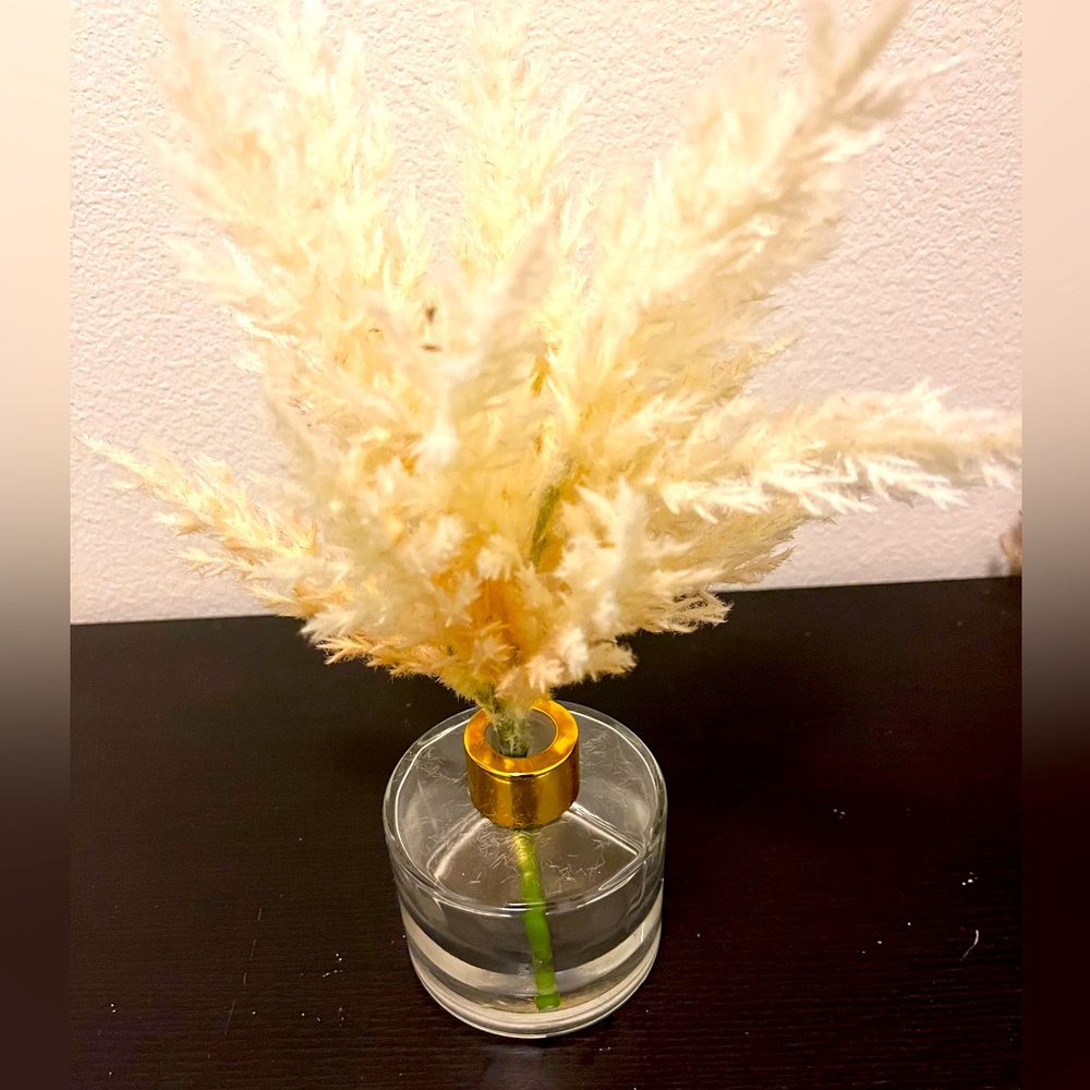 Big lots vase pampas new small plant decor accent home mini white beige clear